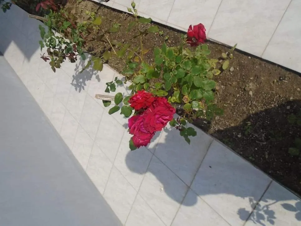 Appartamento House Filippos Sarti Grecia